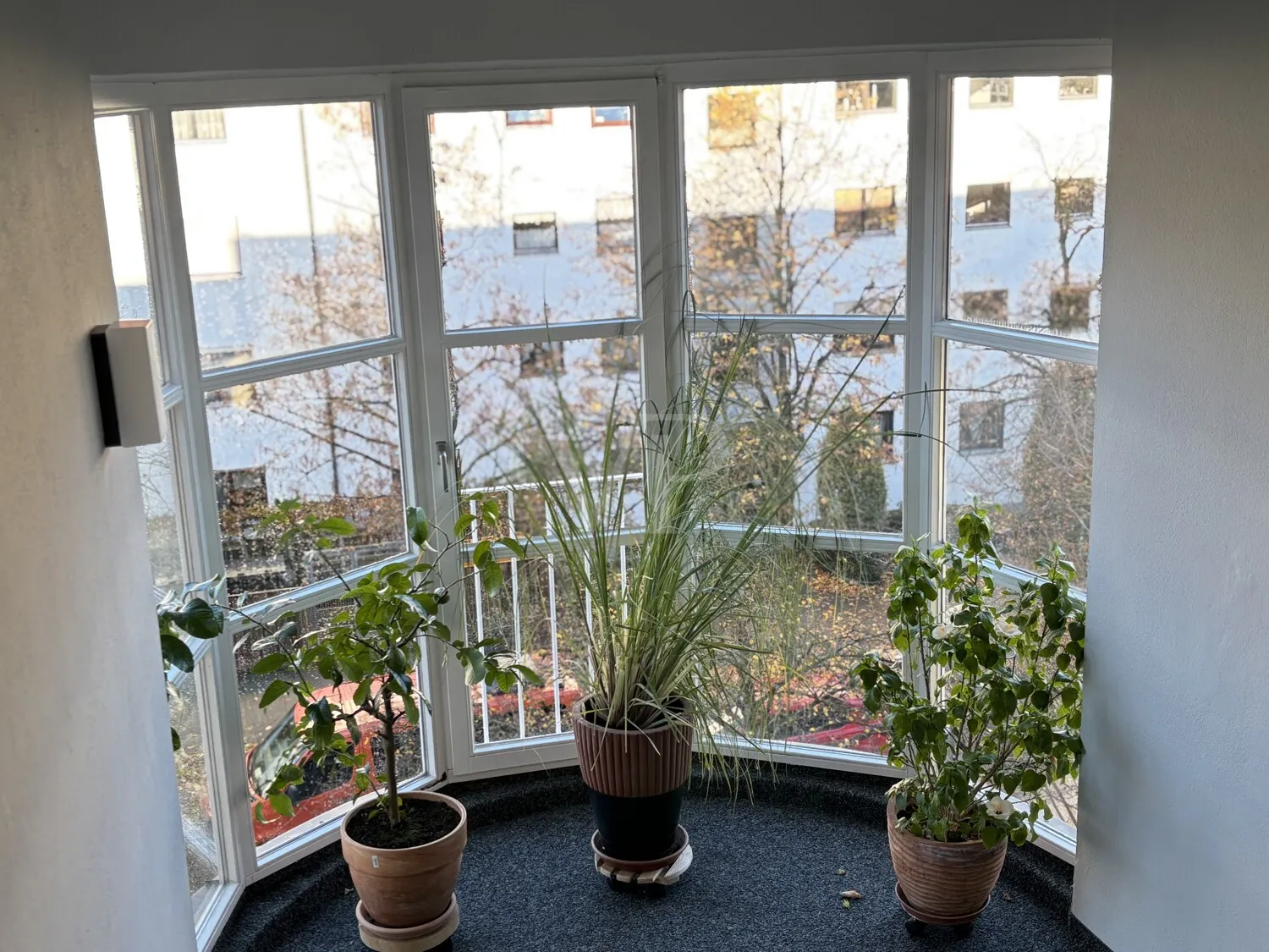 Lichtdurchflutet mit großzügiger Dachterrasse im Univiertel