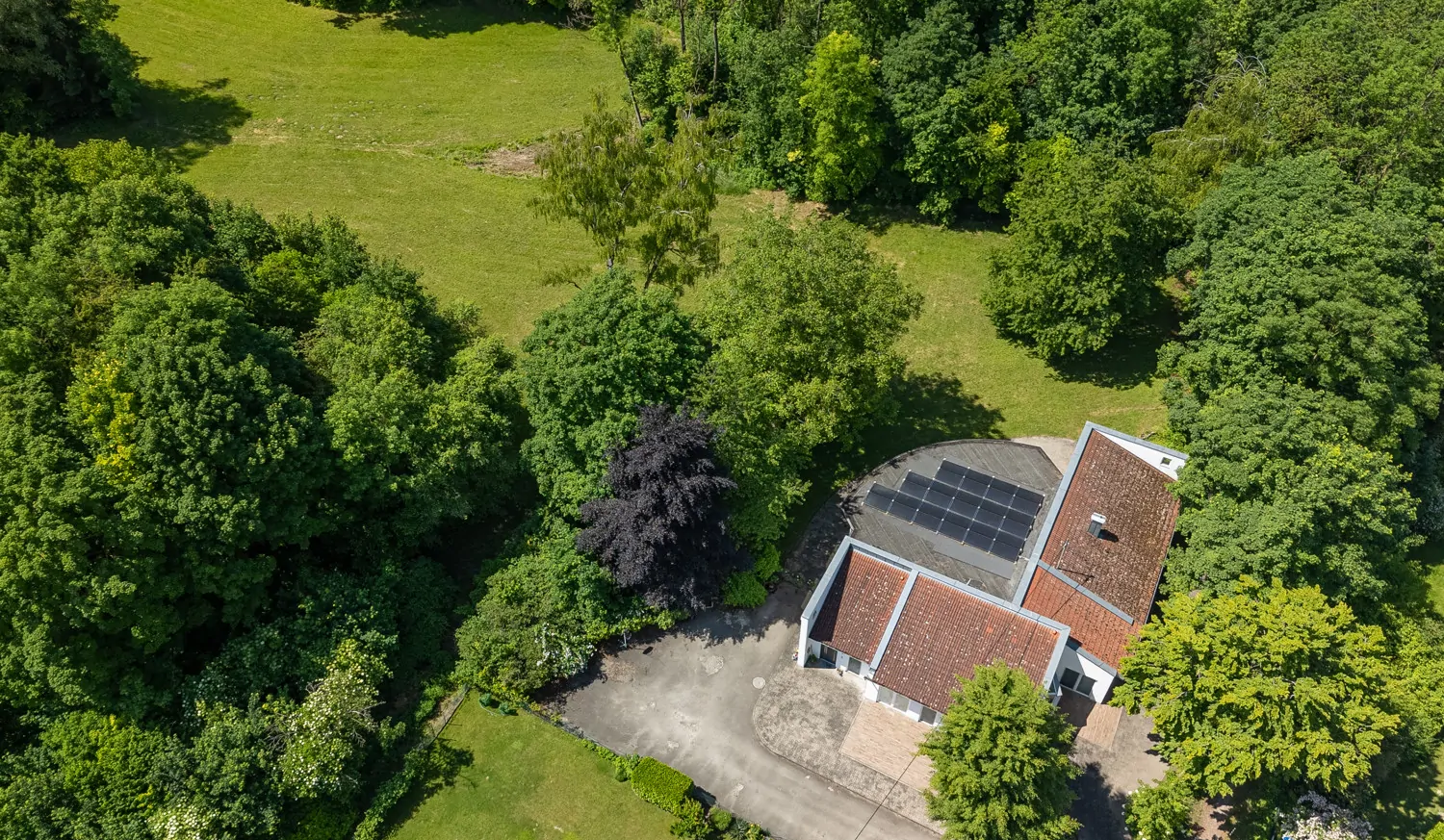 Ein Grundstück mit großem Baumbestand
