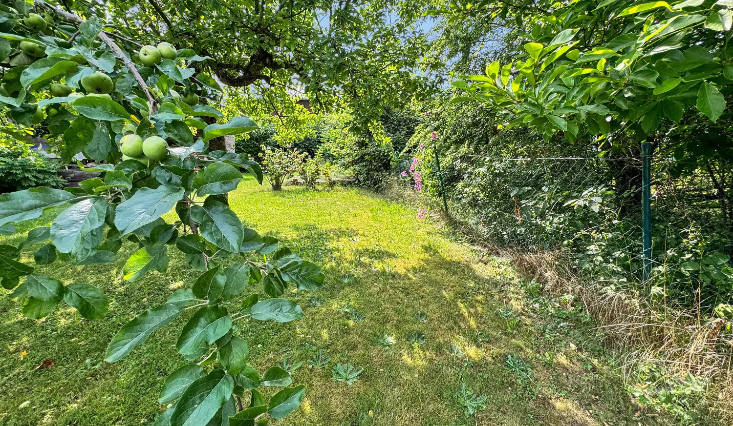 Gemütliche Doppelhaushälfte im Grünen