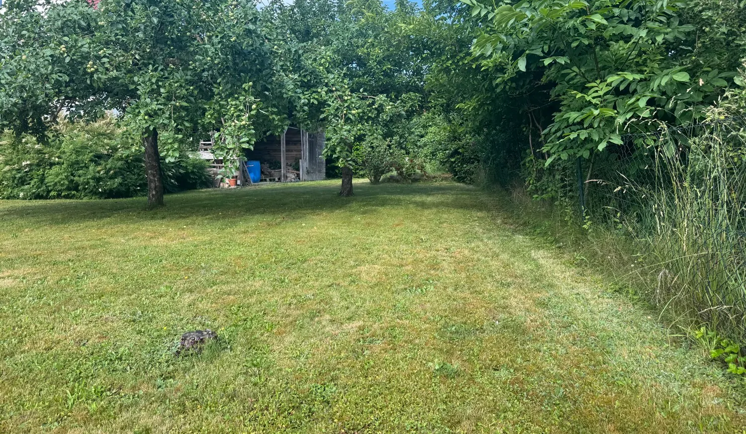 Gemütliche Doppelhaushälfte im Grünen