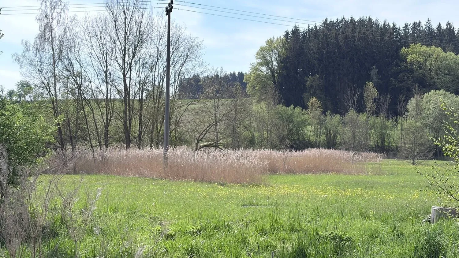 Spacious plot of land in the second row with unobstructed views