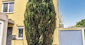 von_poll_real_estate_property_25122055_image_1