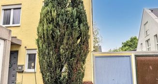 von_poll_real_estate_property_25122055_image_0