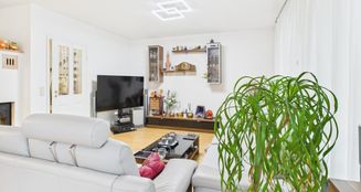 von_poll_real_estate_property_25122055_image_0