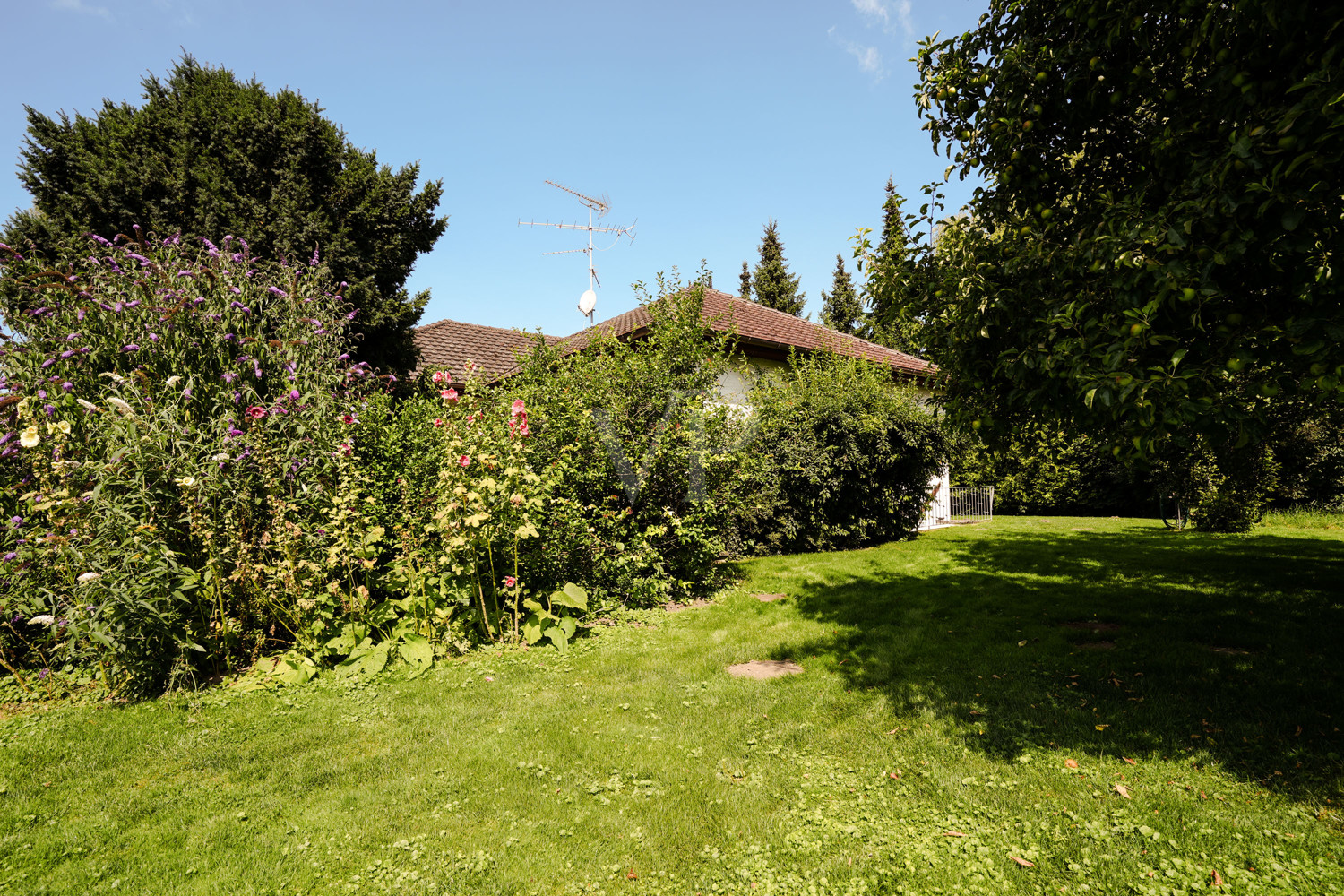 Wohnen auf einer Ebene:  Bungalow in ruhiger Lage