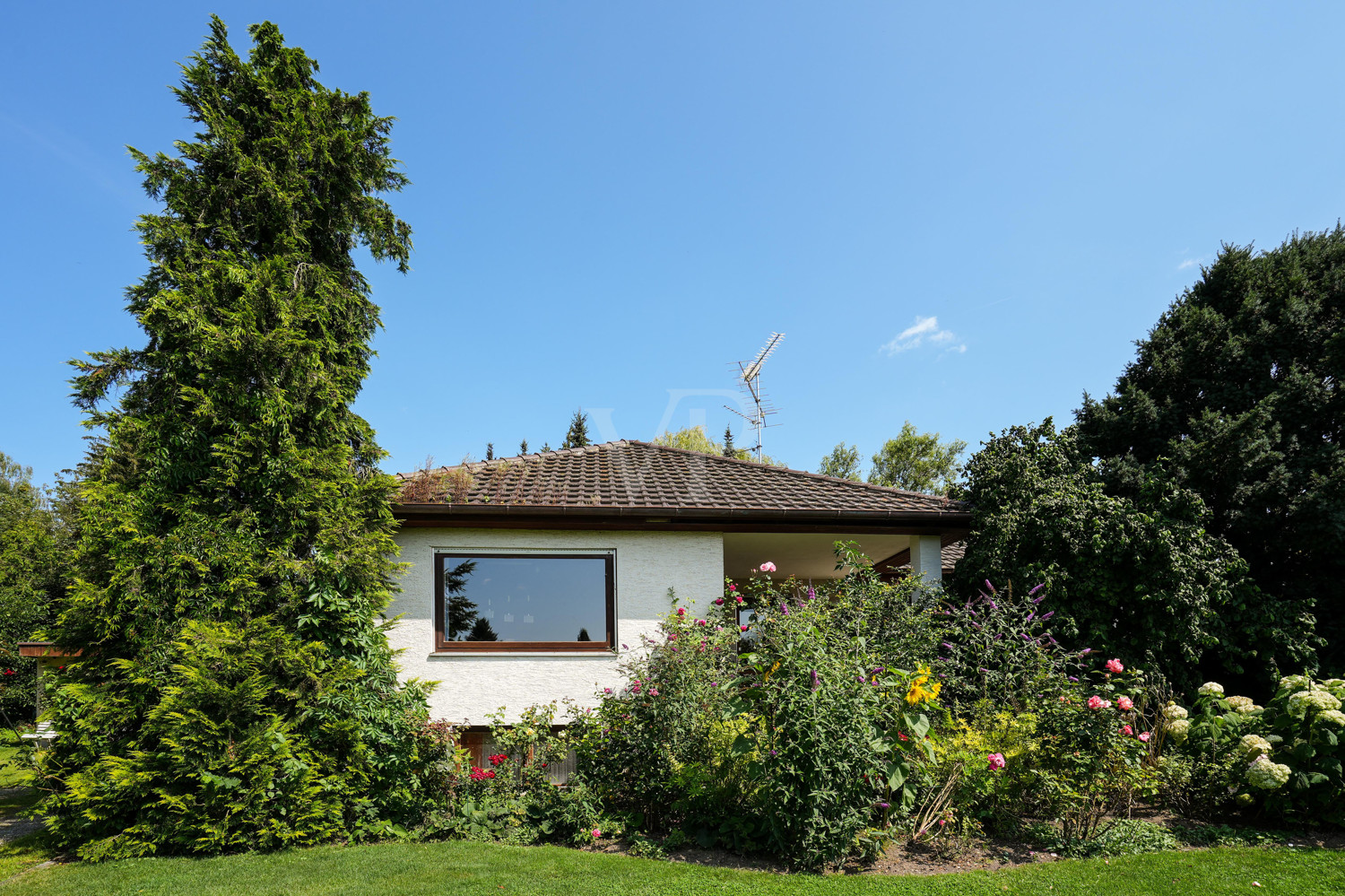 Wohnen auf einer Ebene:  Bungalow in ruhiger Lage