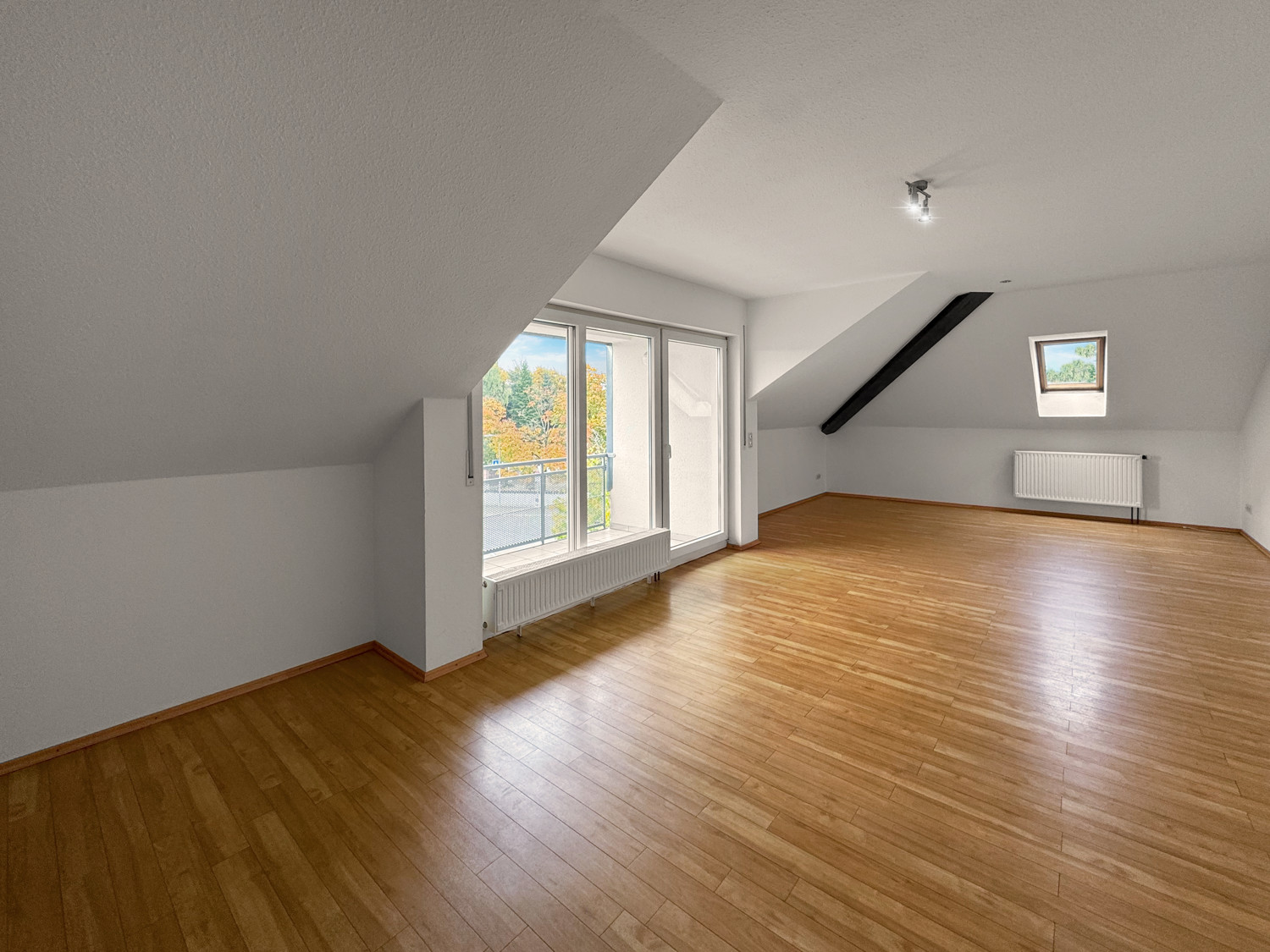 Große helle Wohnung mit Balkon