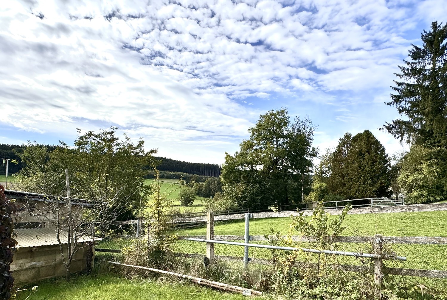 Gemütlich wohnen mit Blick in die Natur, ruhig und sonnig