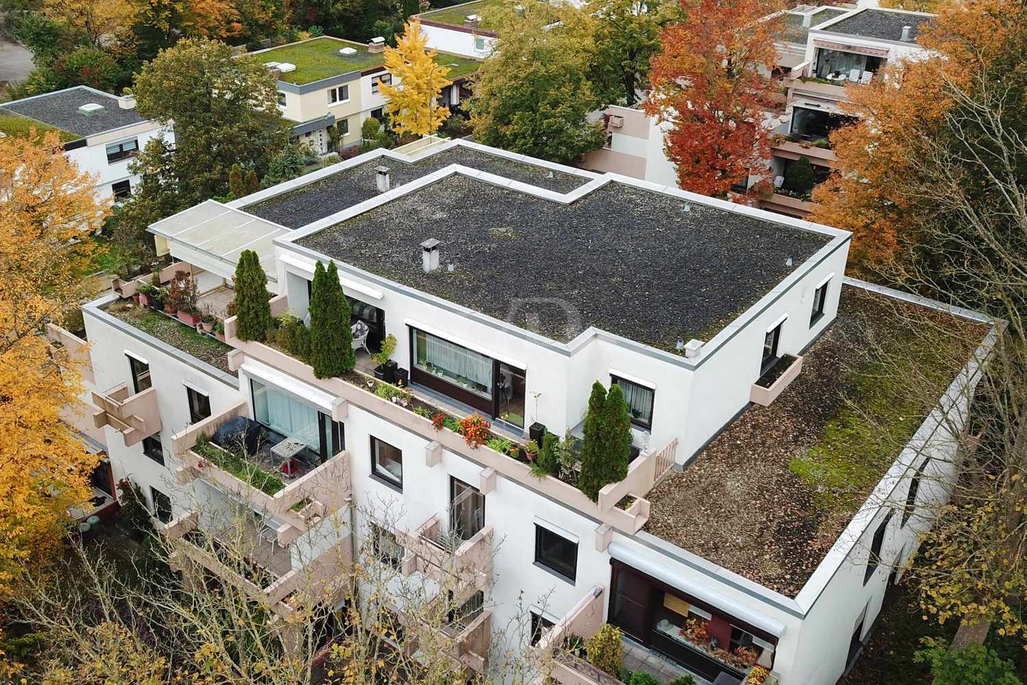 Wohlfühlparadies mit sonniger Dachterrasse