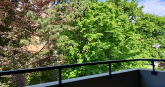 von_poll_real_estate_property_25122069_image_6