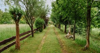 von_poll_real_estate_property_25105021_image_1