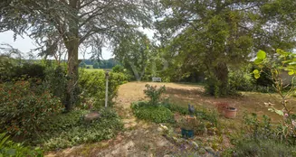 von_poll_real_estate_property_25105028_image_6