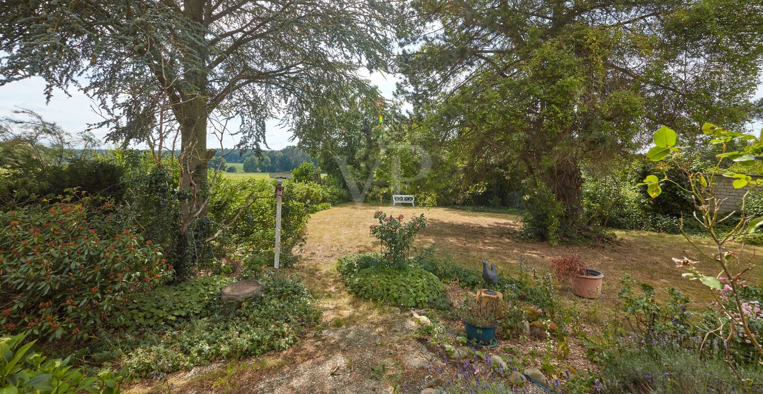 Blick in den Garten