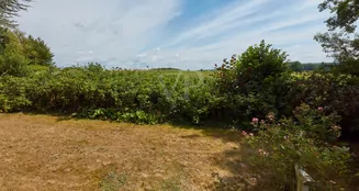 von_poll_real_estate_property_25105028_image_8