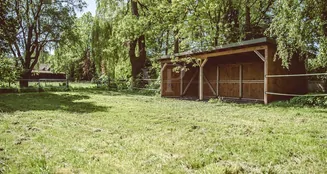 von_poll_real_estate_property_24105008_image_21