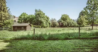 von_poll_real_estate_property_24105008_image_22