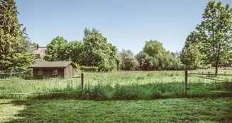 von_poll_real_estate_property_24105008_image_21