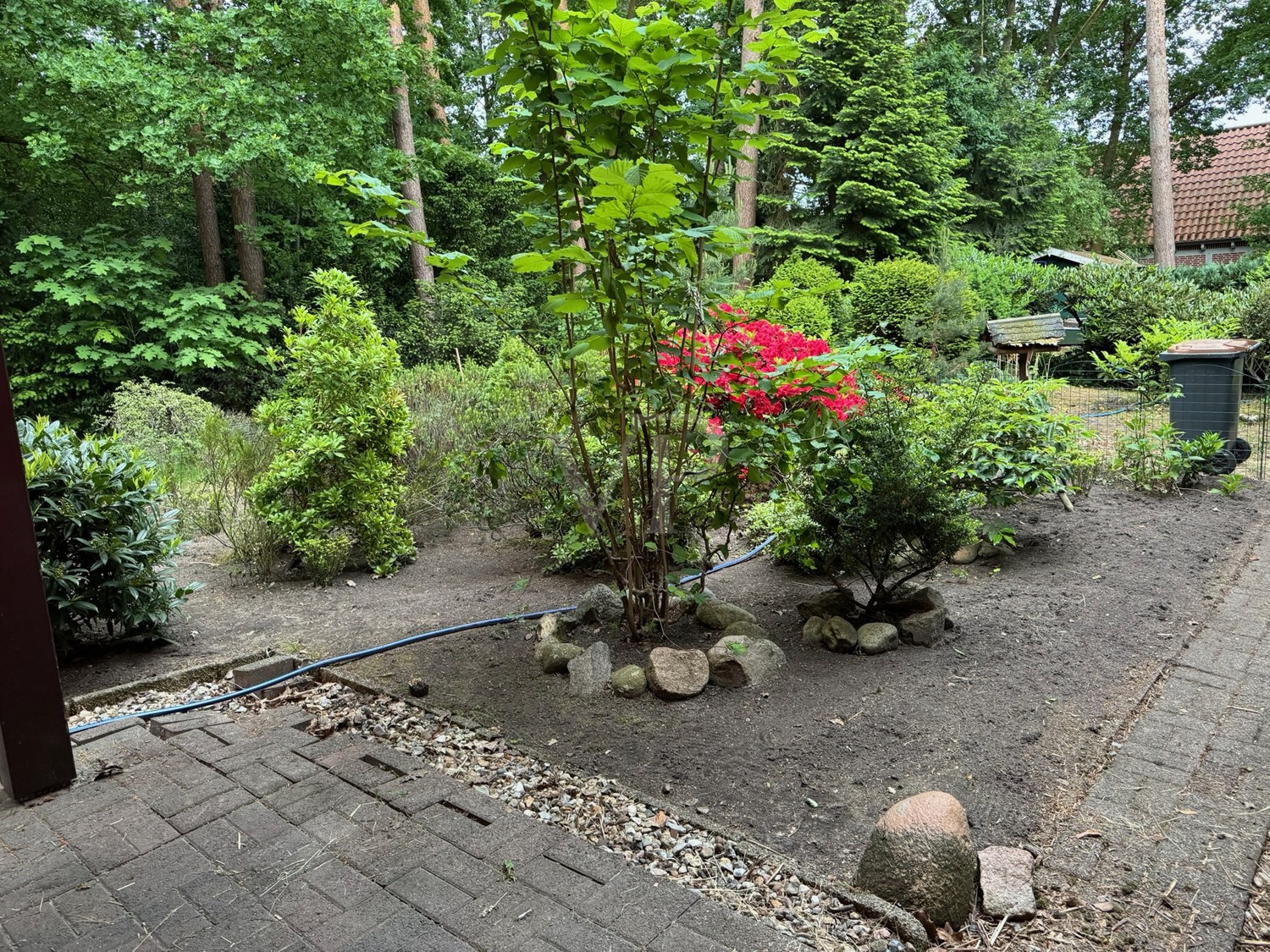 Ein liebevoll gestalteter Garten.