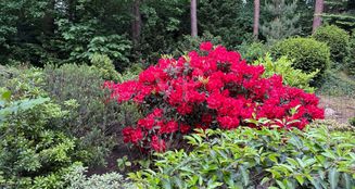 von_poll_real_estate_property_24105037_image_29