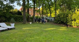 von_poll_real_estate_property_24105037_image_27