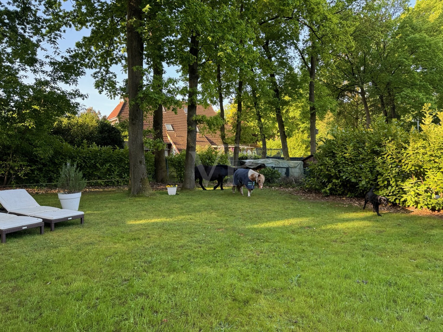 Naturparadies im eigenen Garten