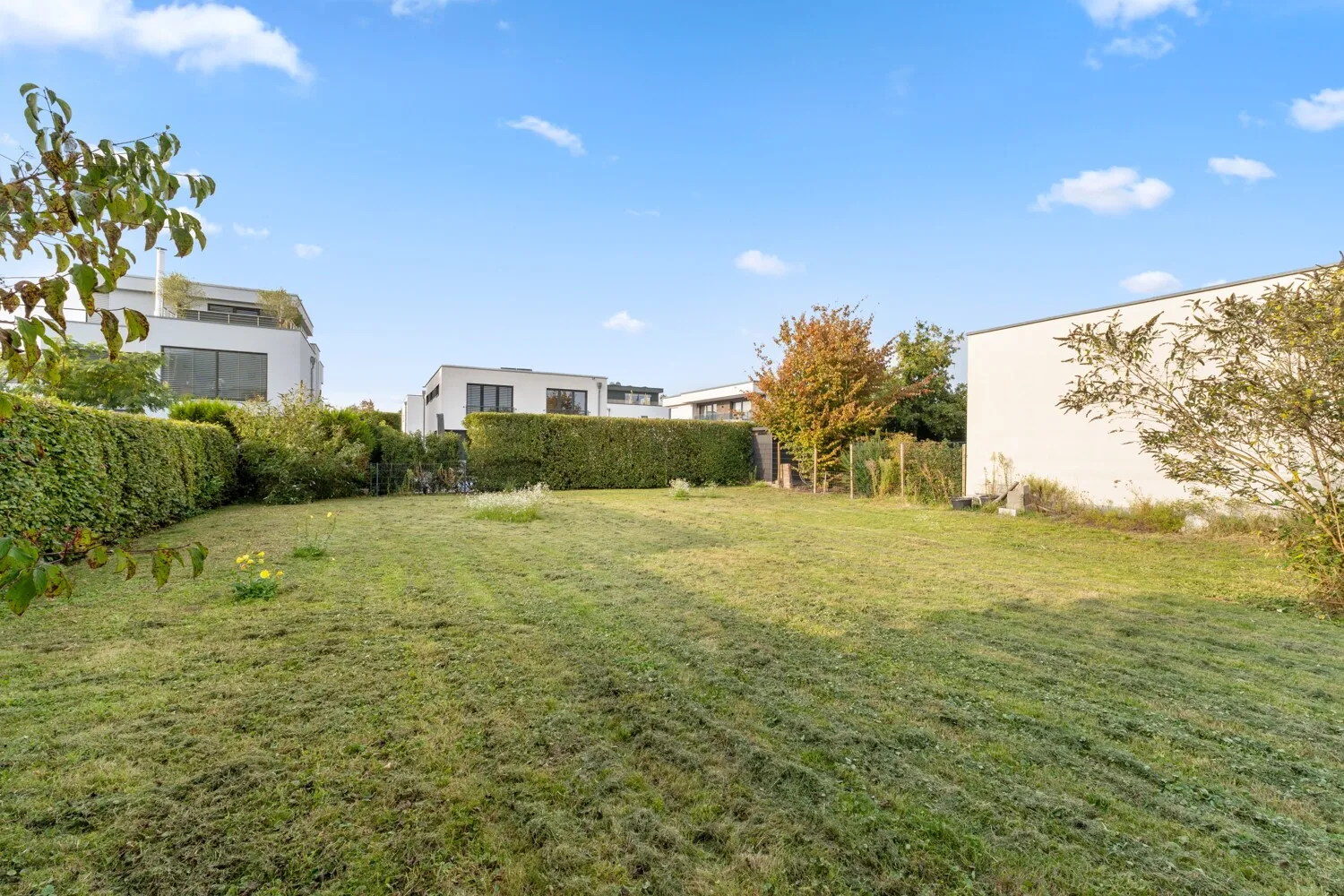 Blickrichtung Norden