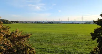 von_poll_real_estate_property_25406036_image_13