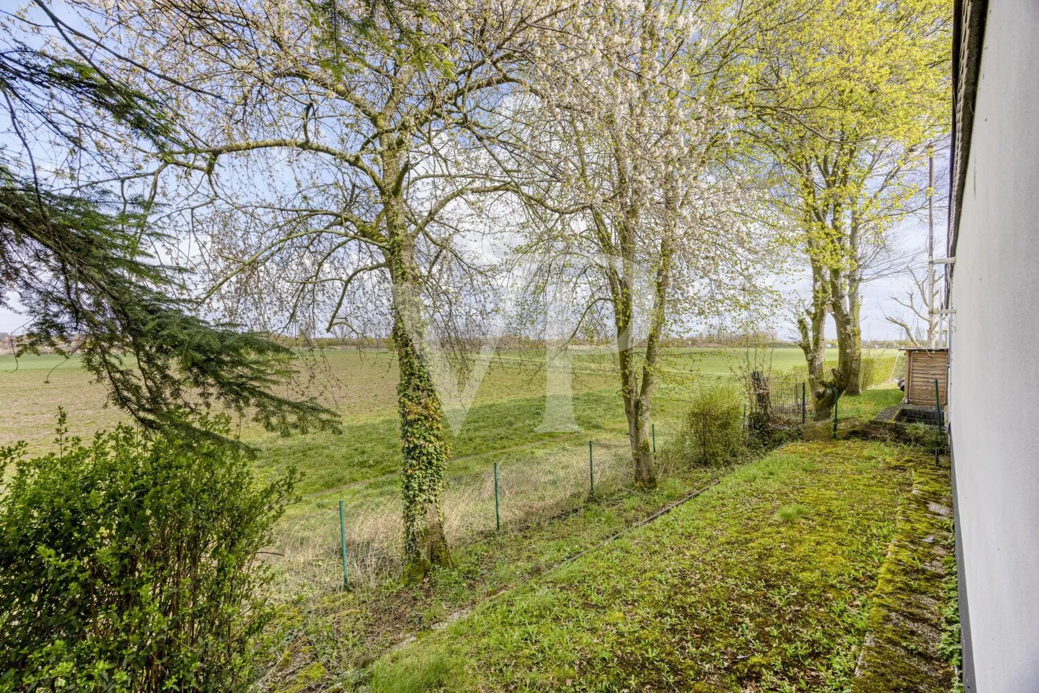 Gartenbereich mit Feldrandlage