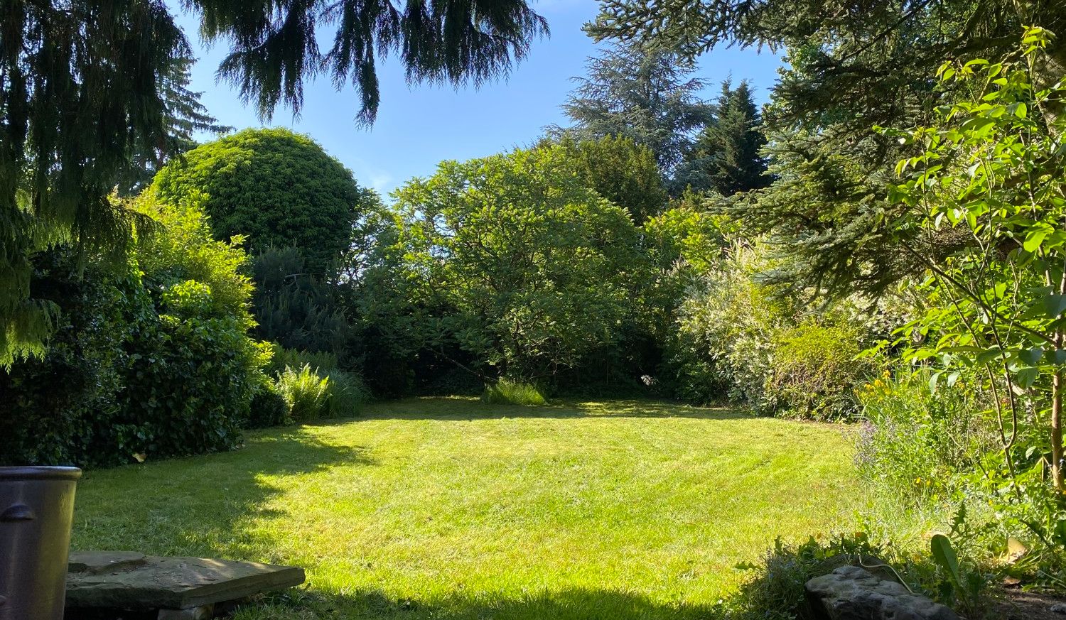Blick in den Garten