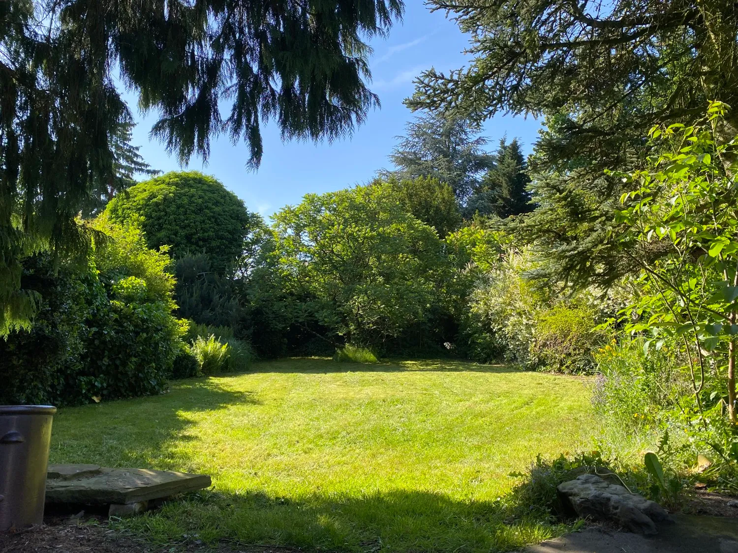 Blick in den Garten
