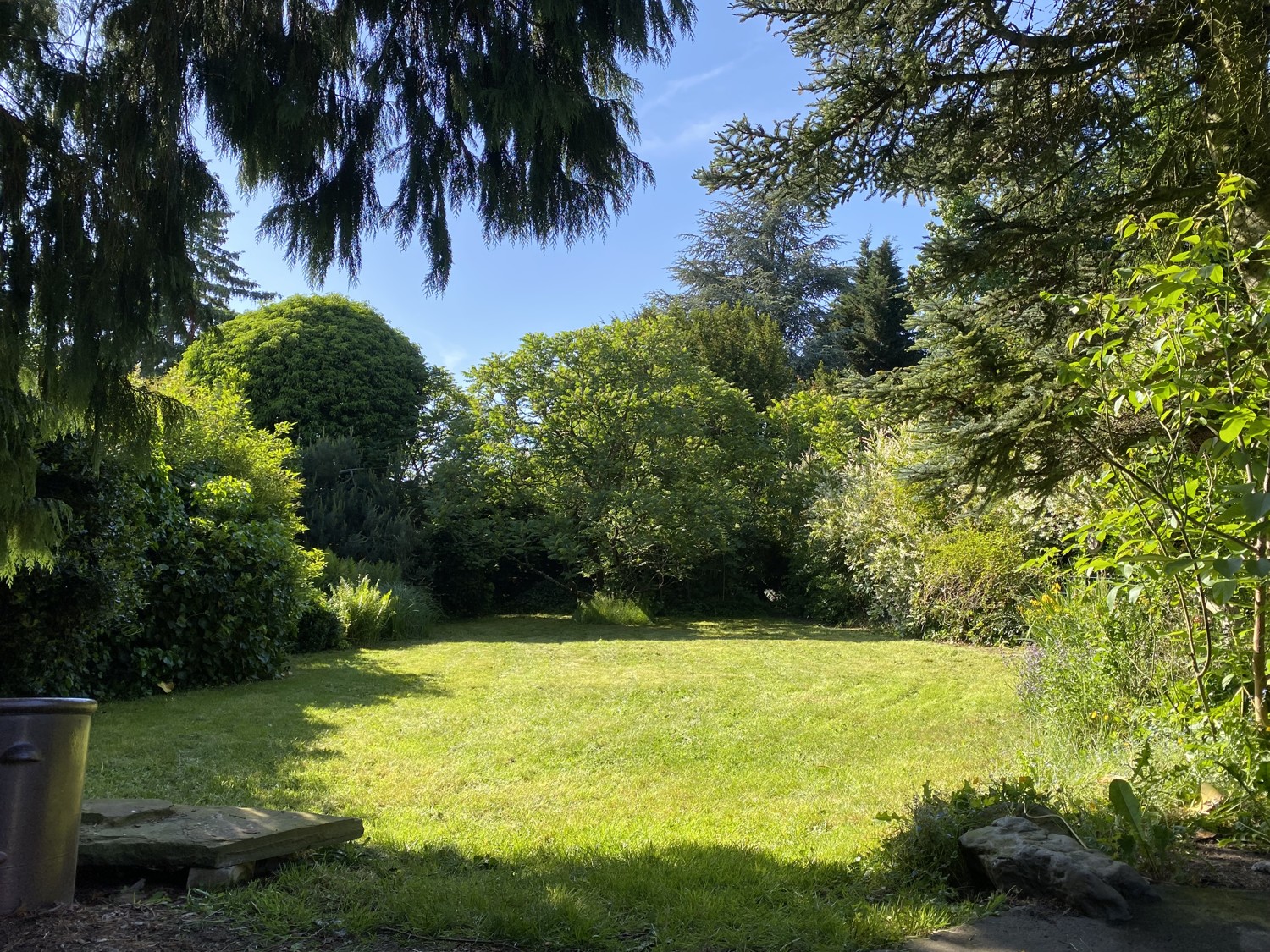 Blick in den Garten