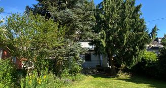 von_poll_real_estate_property_25406008_image_8