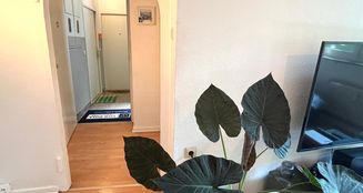 von_poll_real_estate_property_25406020_image_4