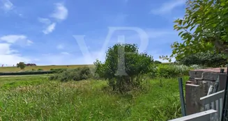 von_poll_real_estate_property_25418055_image_4