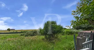 von_poll_real_estate_property_25418055_image_4