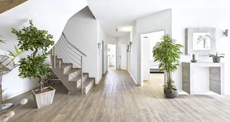 von_poll_real_estate_property_25210072_image_3