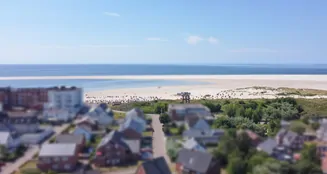 von_poll_real_estate_property_25335101_image_6