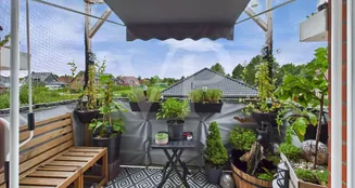 von_poll_real_estate_property_25210076_image_6