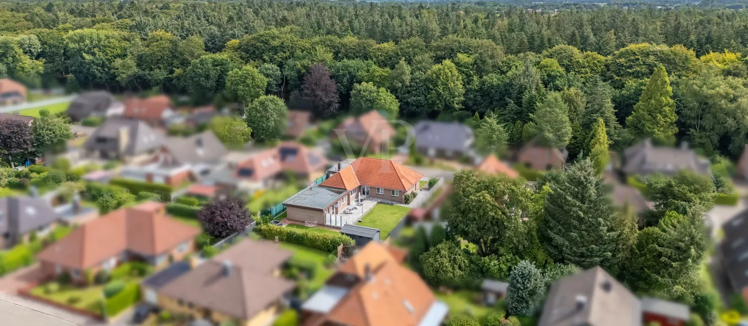 Umgebungsansicht : Waldansicht