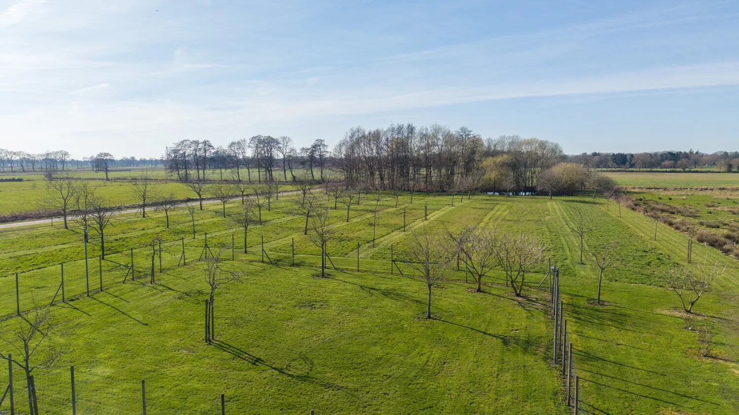 Obstwiese