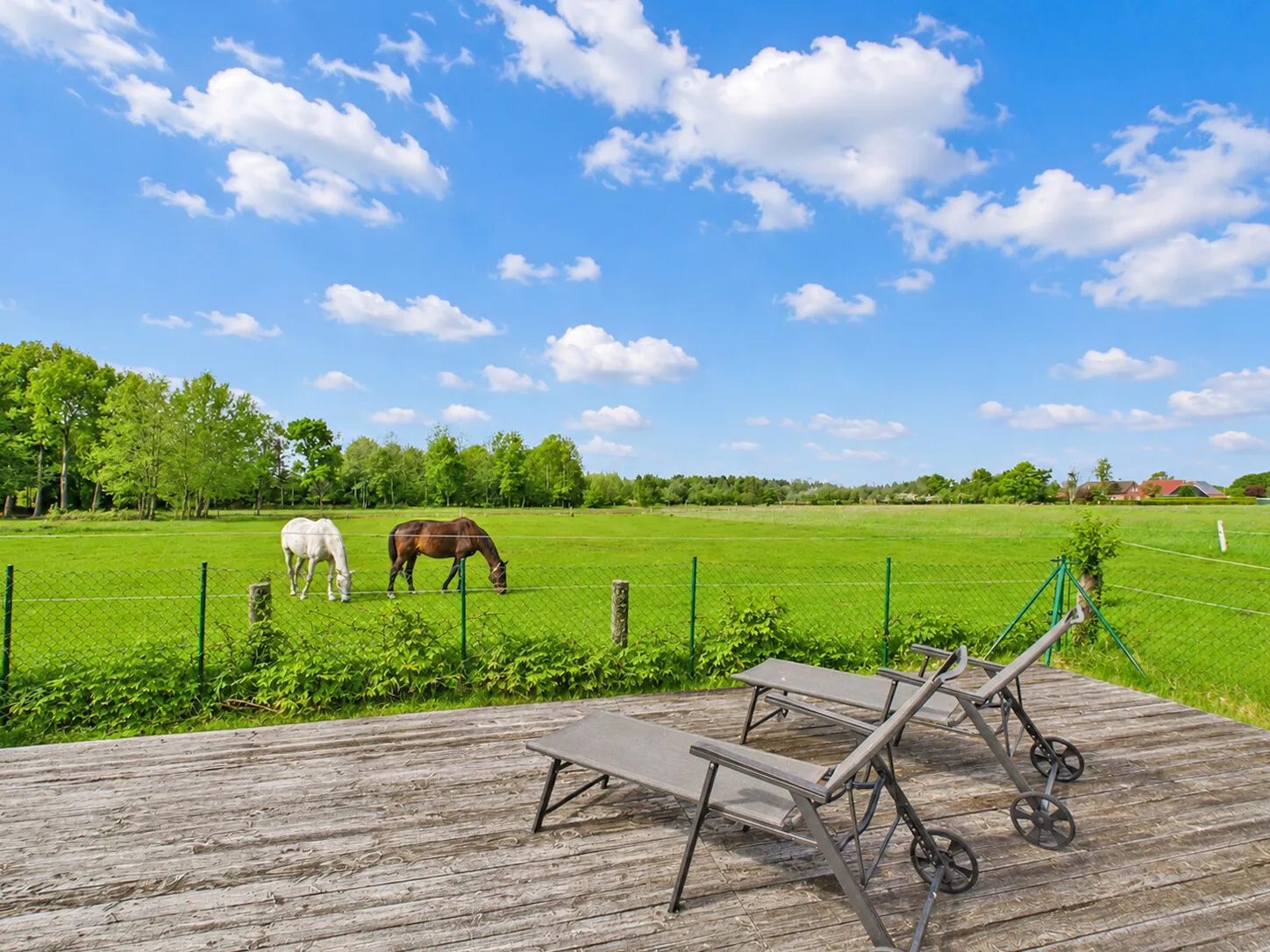 Ausblick Garten
