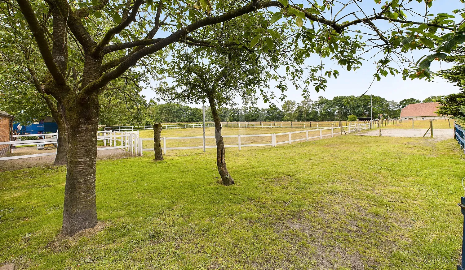 Blick aus dem Garten auf den eingezäunten Reitplatz