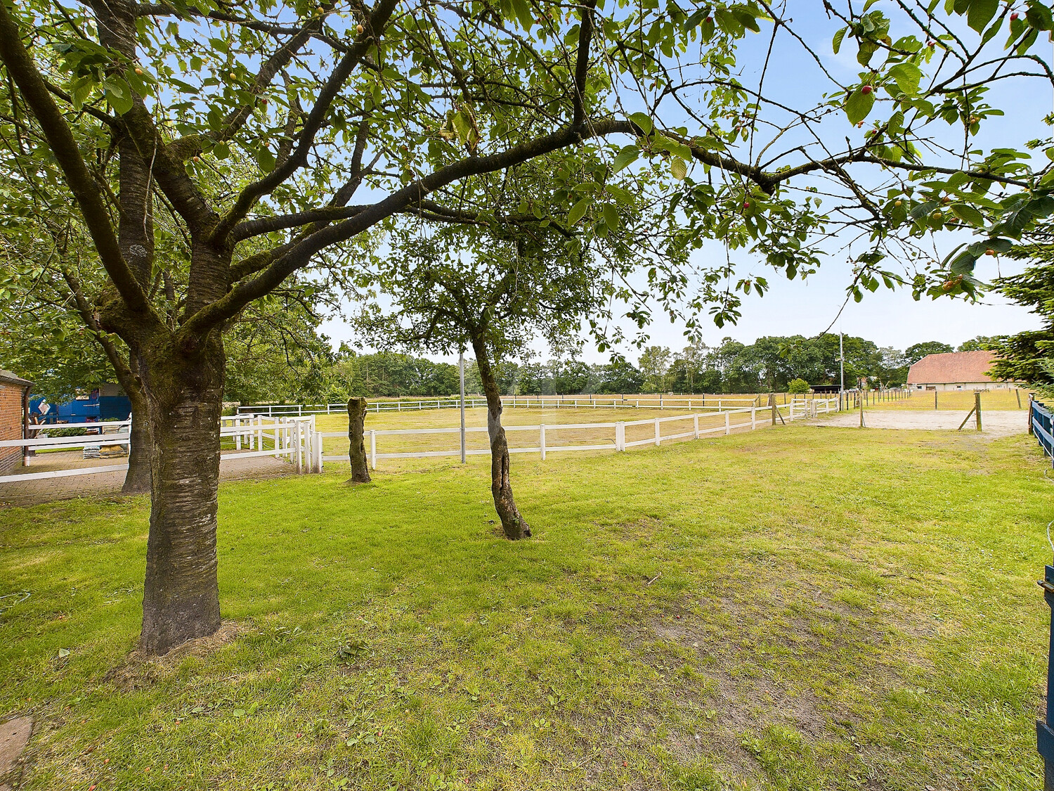 Blick aus dem Garten auf den eingezäunten Reitplatz
