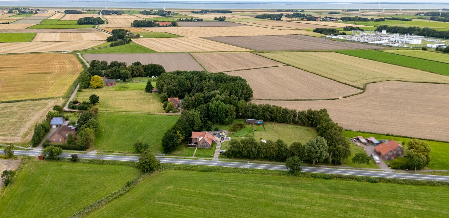 Weitblick