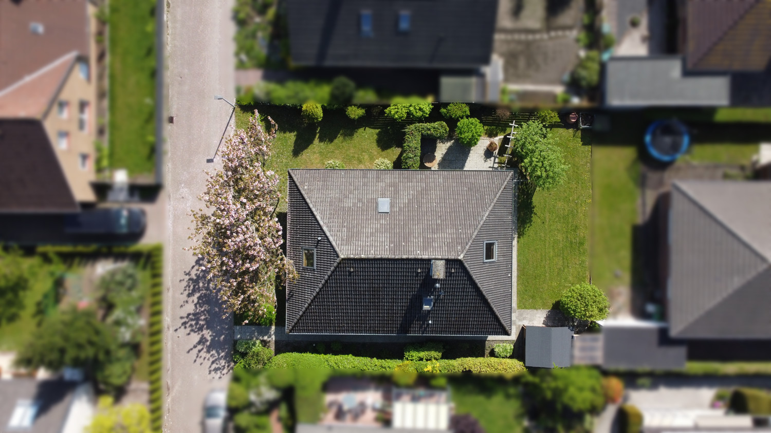 Vogelperspektive