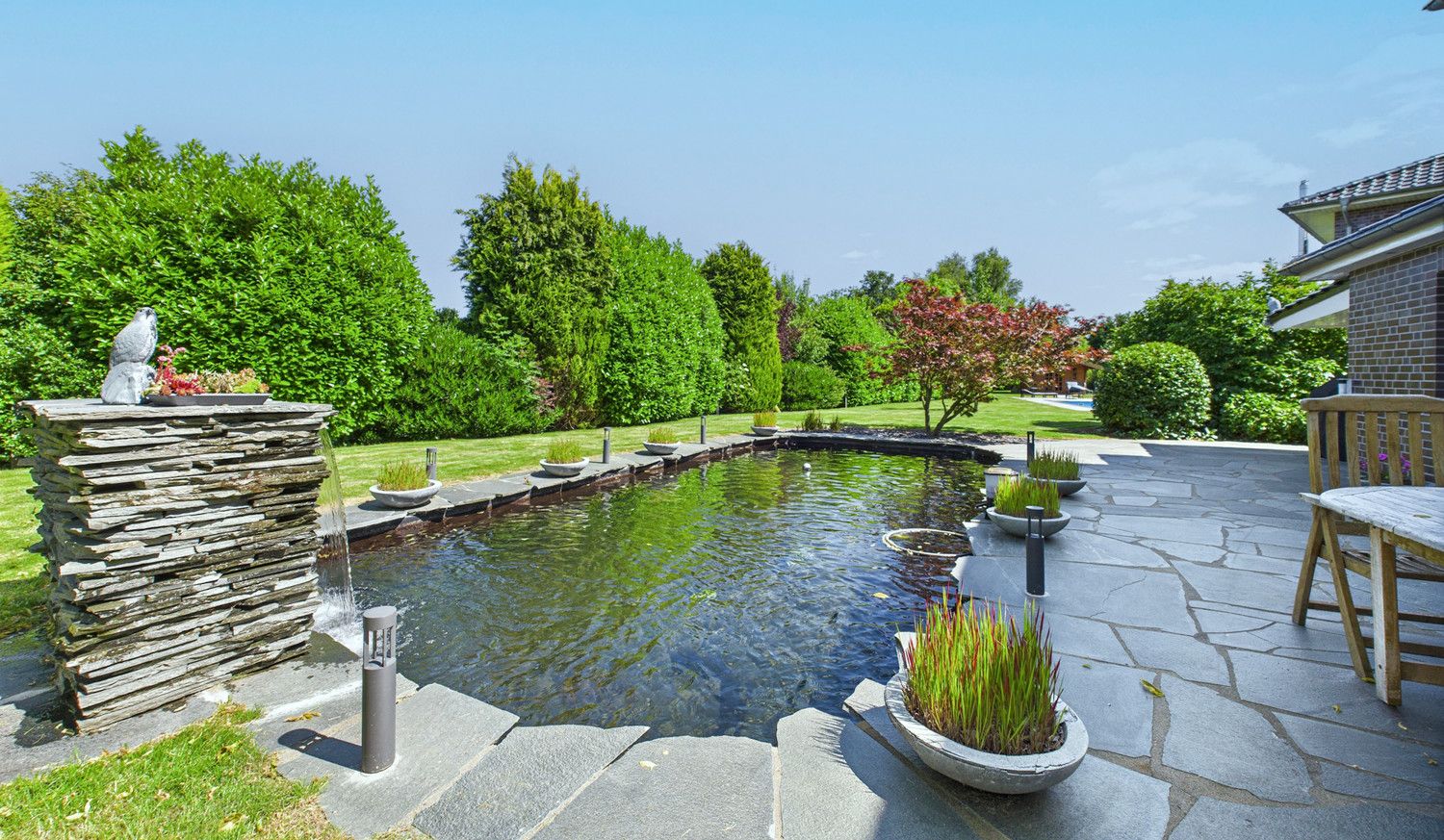 Koi Teich