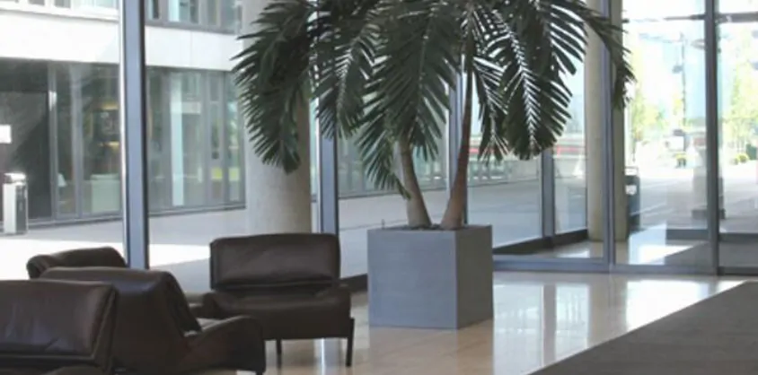 von Poll Immobilien GmbH